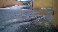 WP_20170311_001.jpg