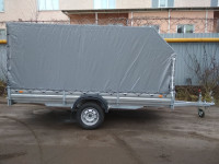 МЗСА.jpg