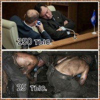 getImage (1).jpg