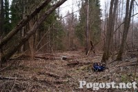 ВОВ_52.jpg