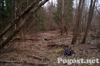 ВОВ_51.jpg