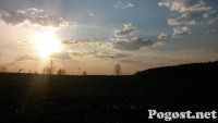 Раскопки_в_МО_17.jpg